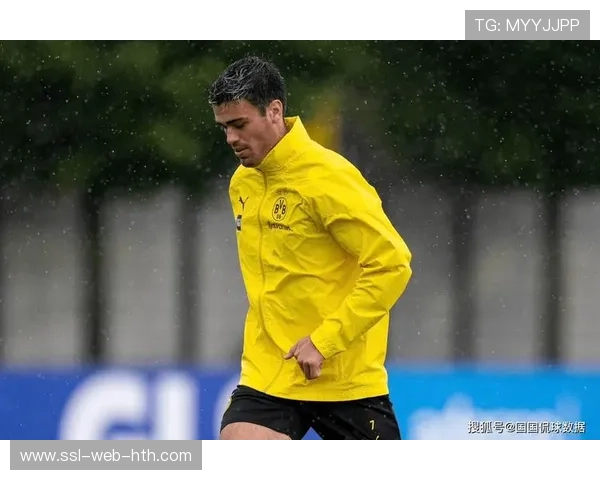 多特蒙德主场迎战海登海姆,魔鬼主场对决保级弱旅 多特蒙德主场迎战海登海姆,魔鬼主场对决保级弱旅